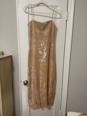Simkhai | Dresses | New Simkhai Bex Tank Maxi Dress In Seafoam Green Sequin  Gown | Poshmark